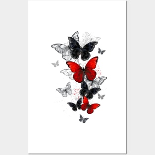 Flying Black and Red Morpho Posters and Art